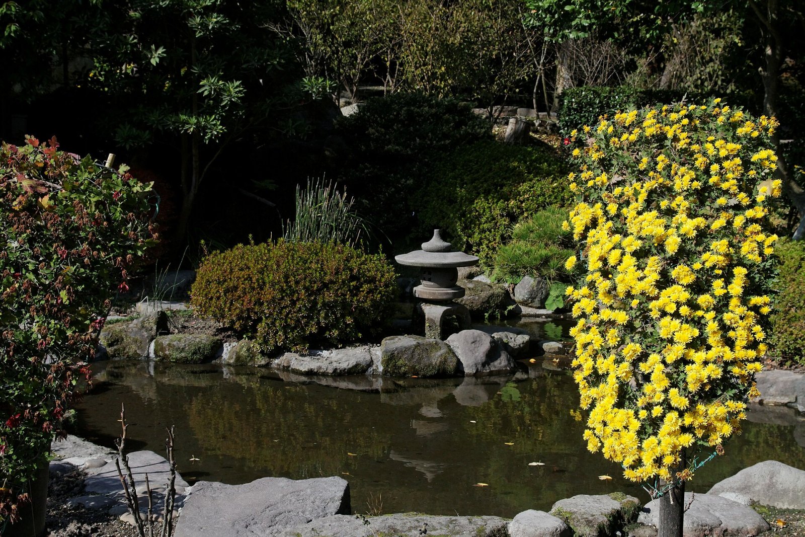 Découvrez le jardin Sengan-en à Kagoshima : un coin de paradis - Kagoshima | Secret World Trip Planner