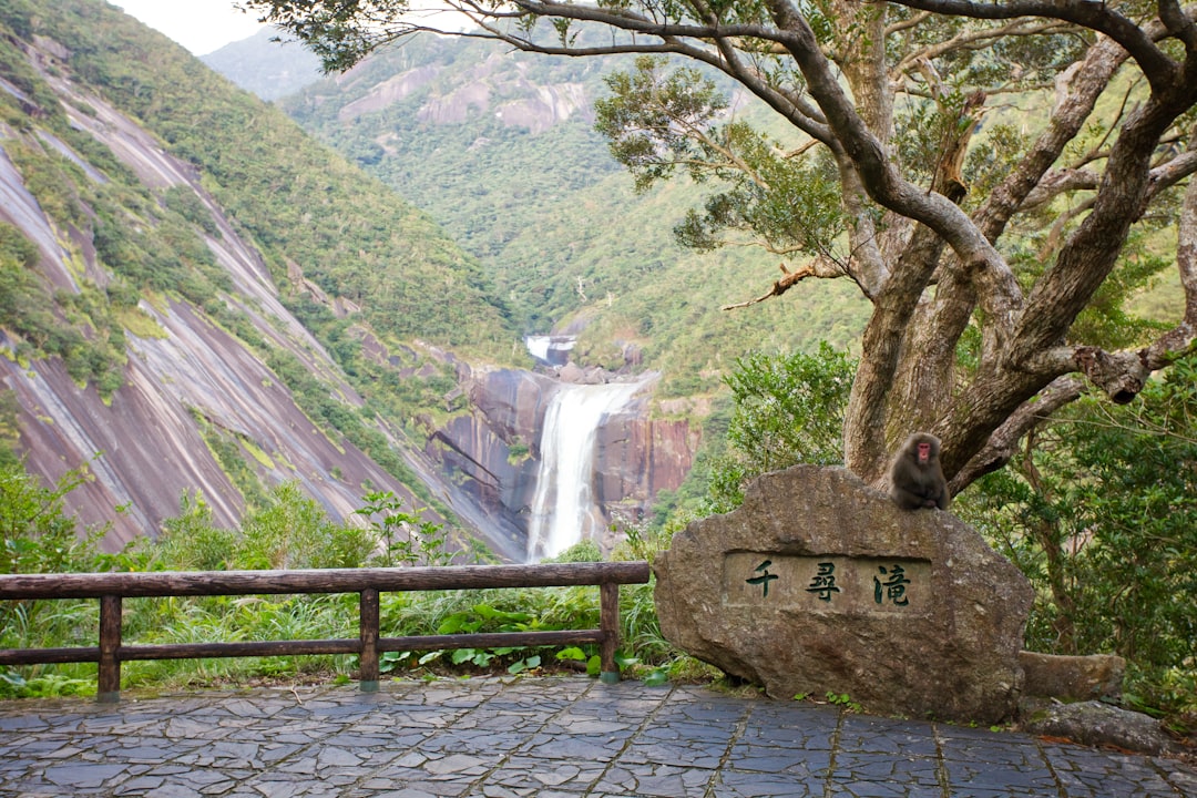 Découvrez Yakushima : un joyau naturel du Japon - Yakushima | Secret World Trip Planner