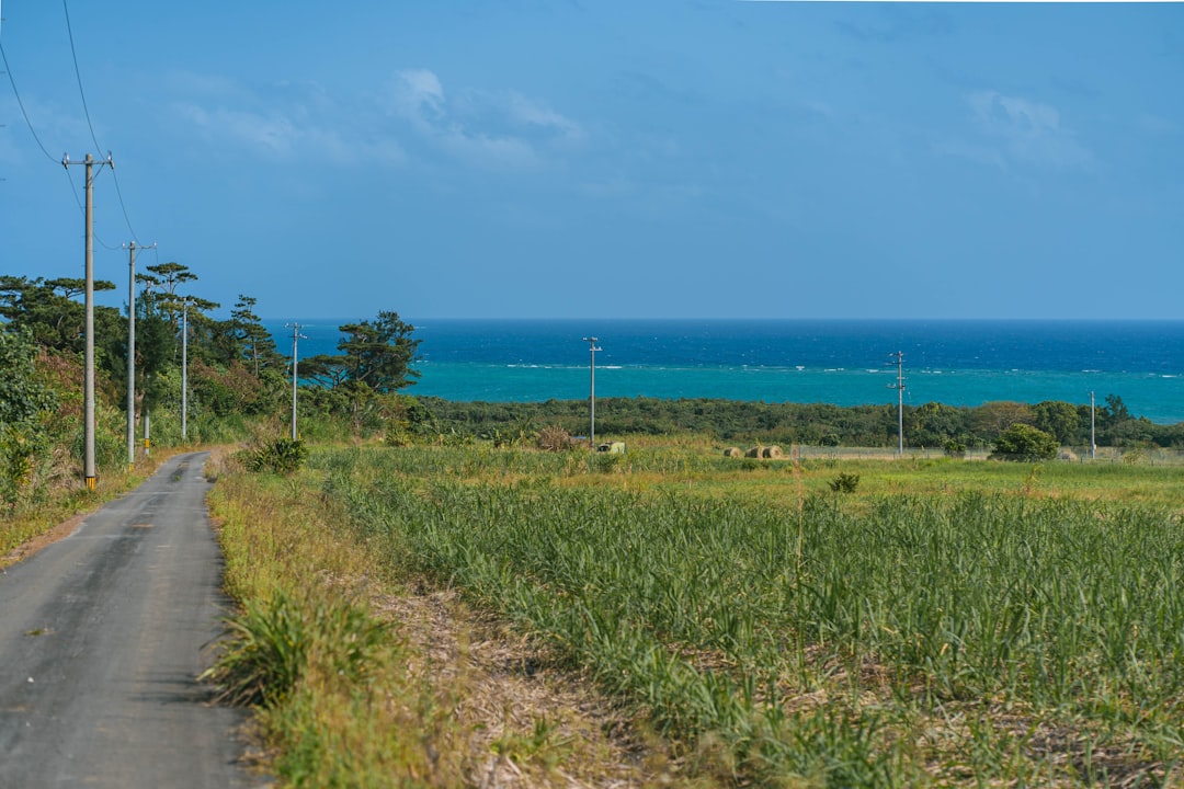 Descubre Iriomote Island: un rincón del paraíso en Okinawa - Taketomi | Secret World Trip Planner