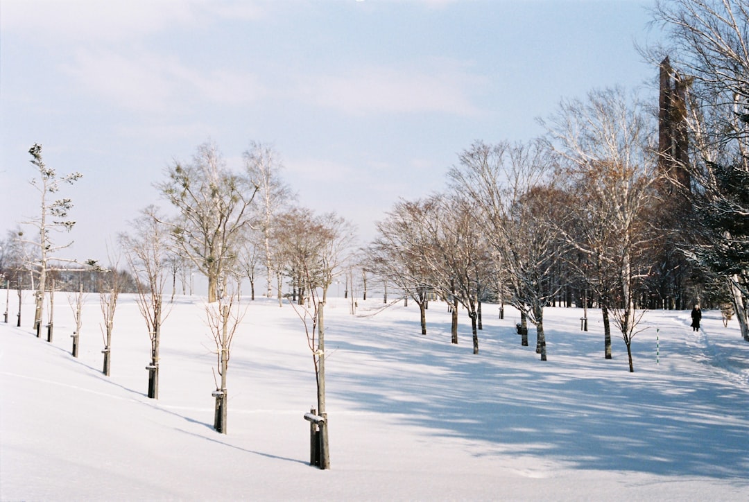 Odori Park Sapporo: um canto da natureza no coração de Hokkaido - Sapporo | Secret World Trip Planner