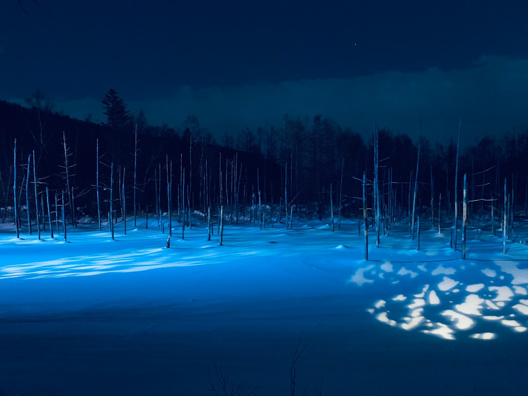 Découvrez le Blue Pond de Biei : un coin de paradis au Japon - Biei | Secret World Trip Planner