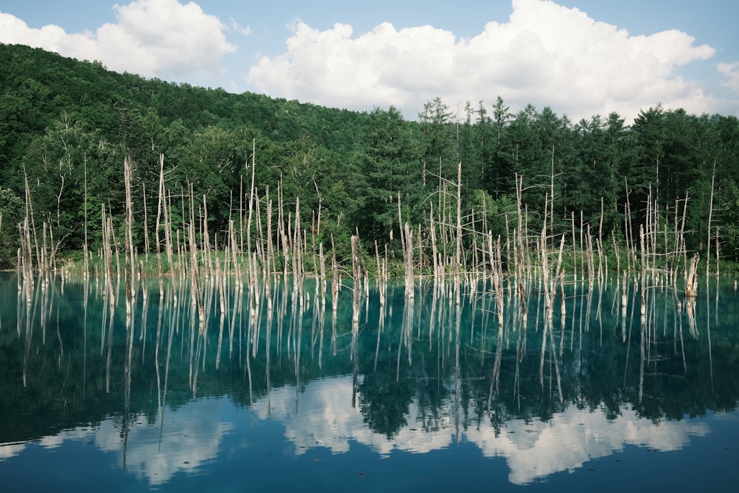 Descubre el Blue Pond de Biei: un rincón de paraíso en Japón - Biei | Secret World Trip Planner