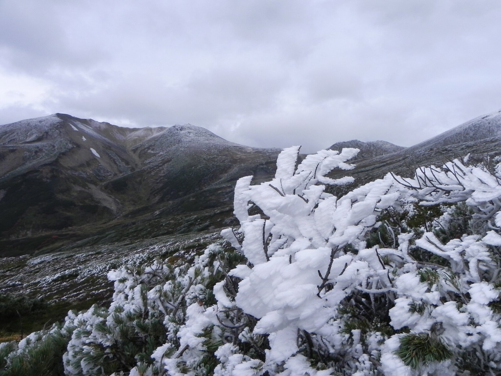 Descubre la belleza del Parque Nacional Daisetsuzan en Hokkaido - Higashikawa | Secret World Trip Planner