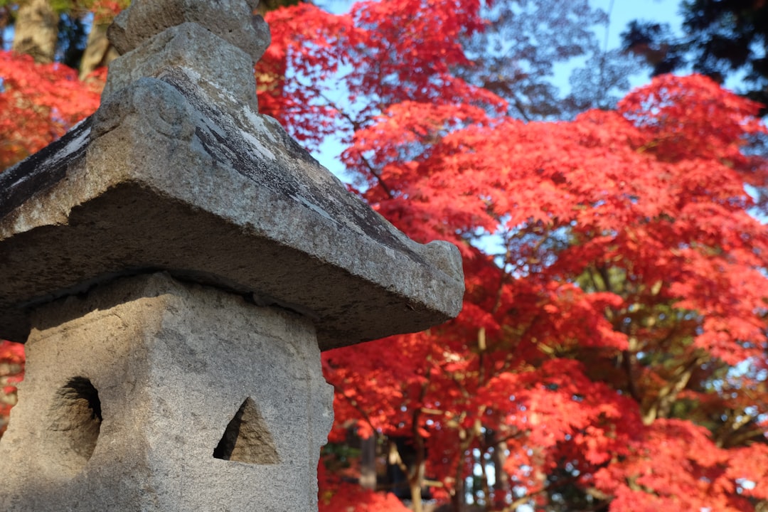 Descubriendo Hiraizumi Chusonji: un tesoro histórico en Tohoku - Hiraizumi | Secret World Trip Planner