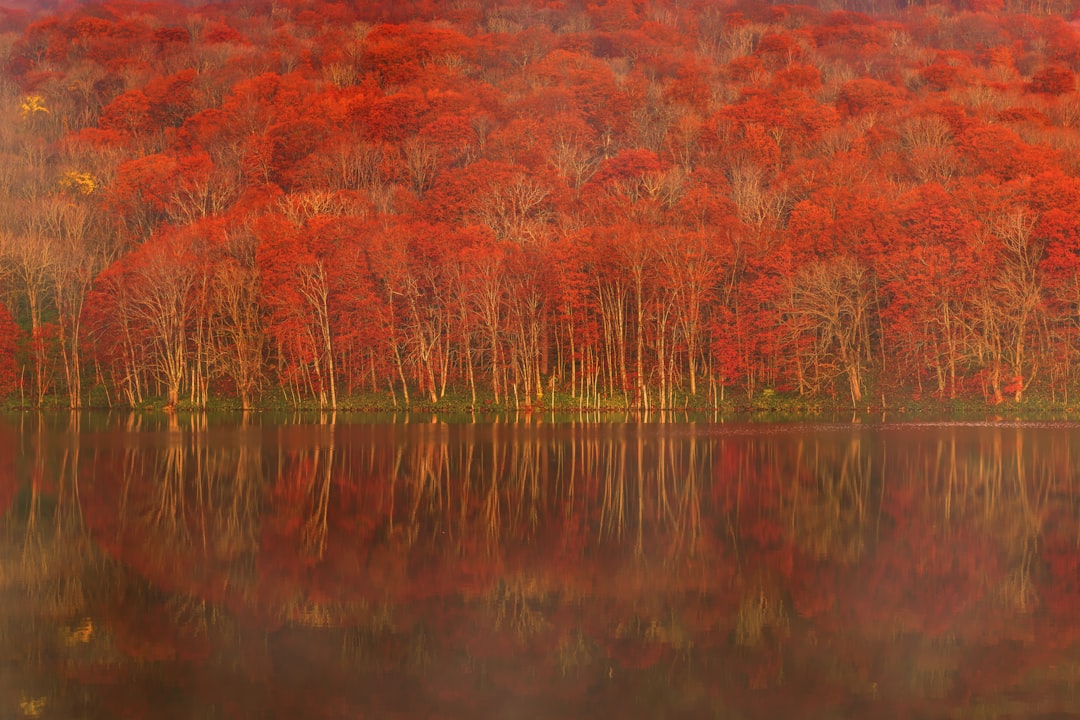 Scopri il Lago Towada: un gioiello naturale nel Tohoku - Towada | Secret World Trip Planner