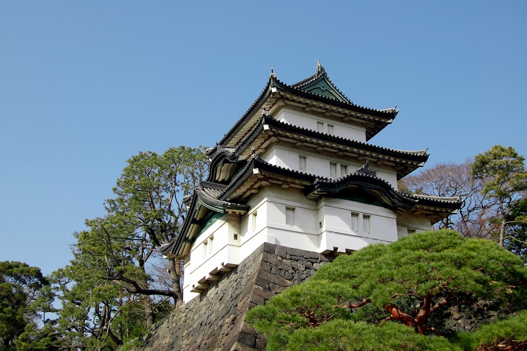 Gujo Hachiman Castle: Un Viaggio nella Storia del Giappone - Gujo | Secret World Trip Planner