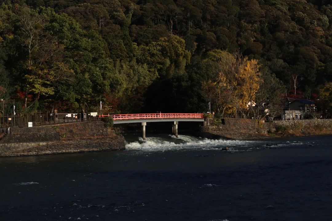 Descubriendo el río Kibune: un rincón de naturaleza en Kioto - Kyoto | Secret World Trip Planner