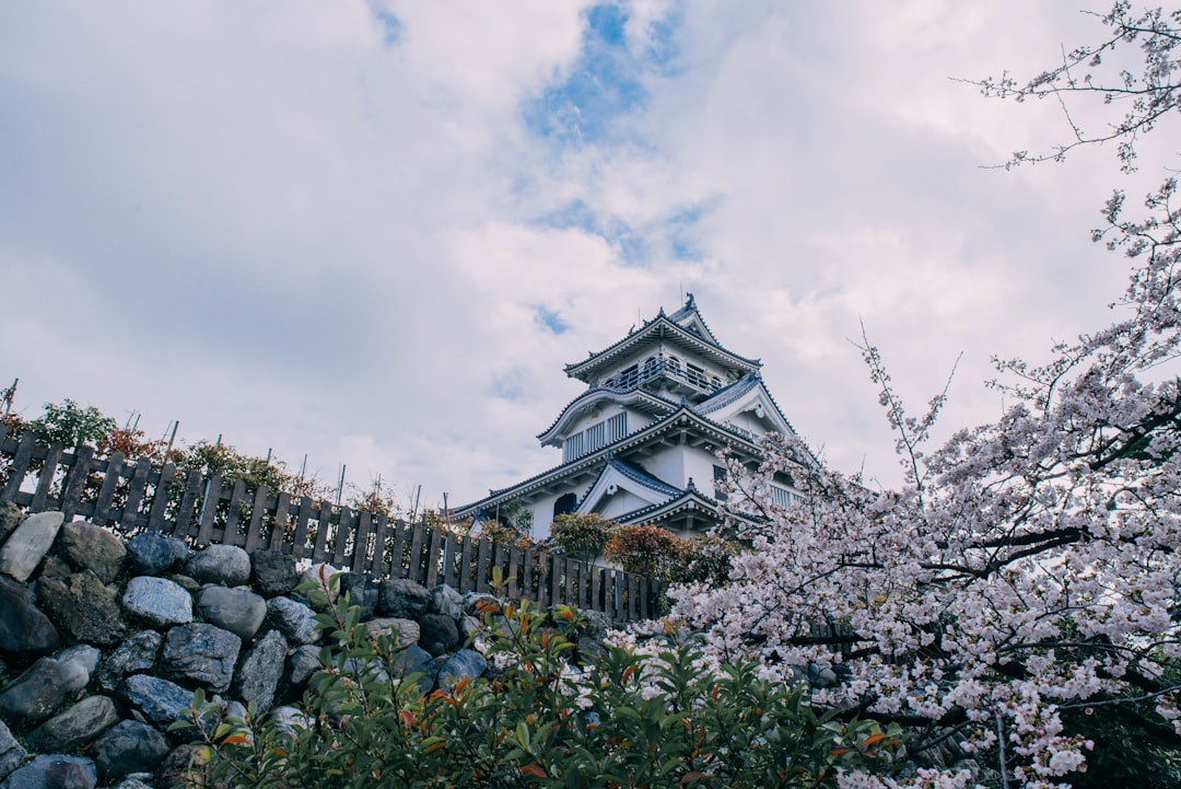Découvrez l'Histoire et la Beauté du Château de Nagahama - Nagahama | Secret World Trip Planner