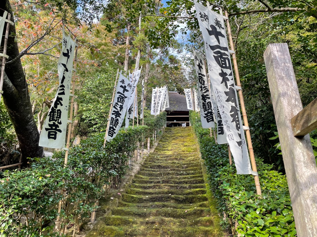 Descubre el Kumano Kodo: el camino de los peregrinos en Japón - Tanabe | Secret World Trip Planner
