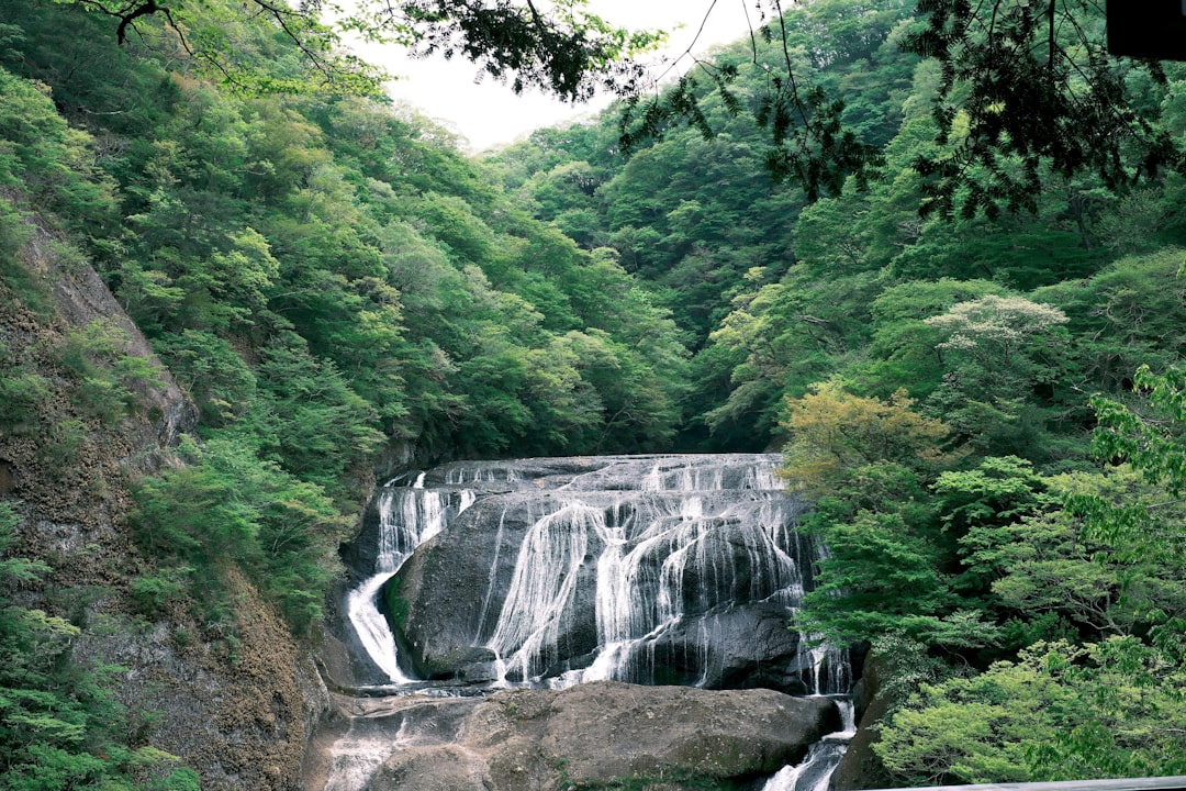 일본 미노하 폭포의 경이로움을 발견하세요 - Minoh | Secret World Trip Planner