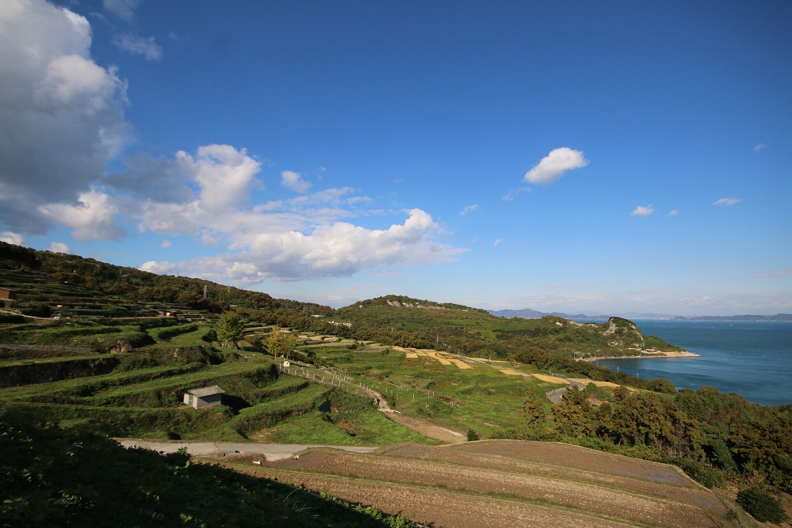 Découvrir l'île de Teshima : un joyau caché au Japon - Tonosho | Secret World Trip Planner