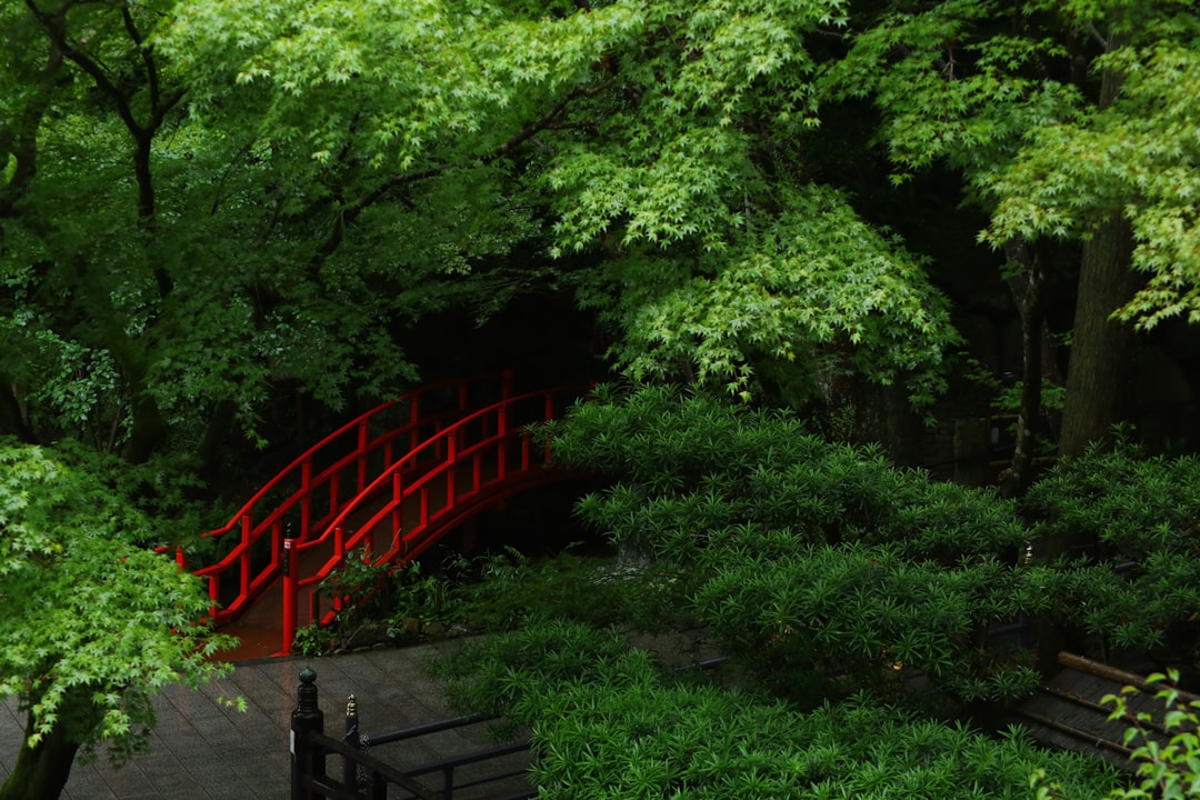 探索佐贺的南藏院寺：日本的文化瑰宝 - Sasaguri | Secret World Trip Planner