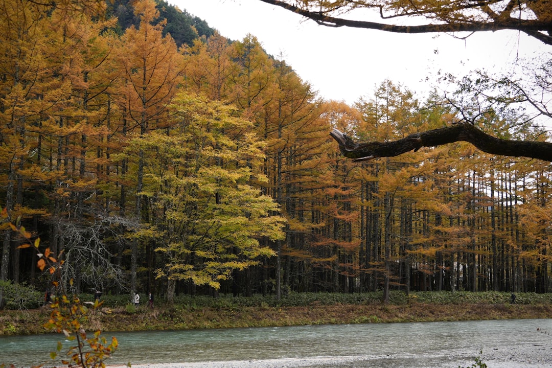 Explore Genkai Quasi National Park: Nature and Culture in Fukuoka - Fukuoka | Secret World Trip Planner