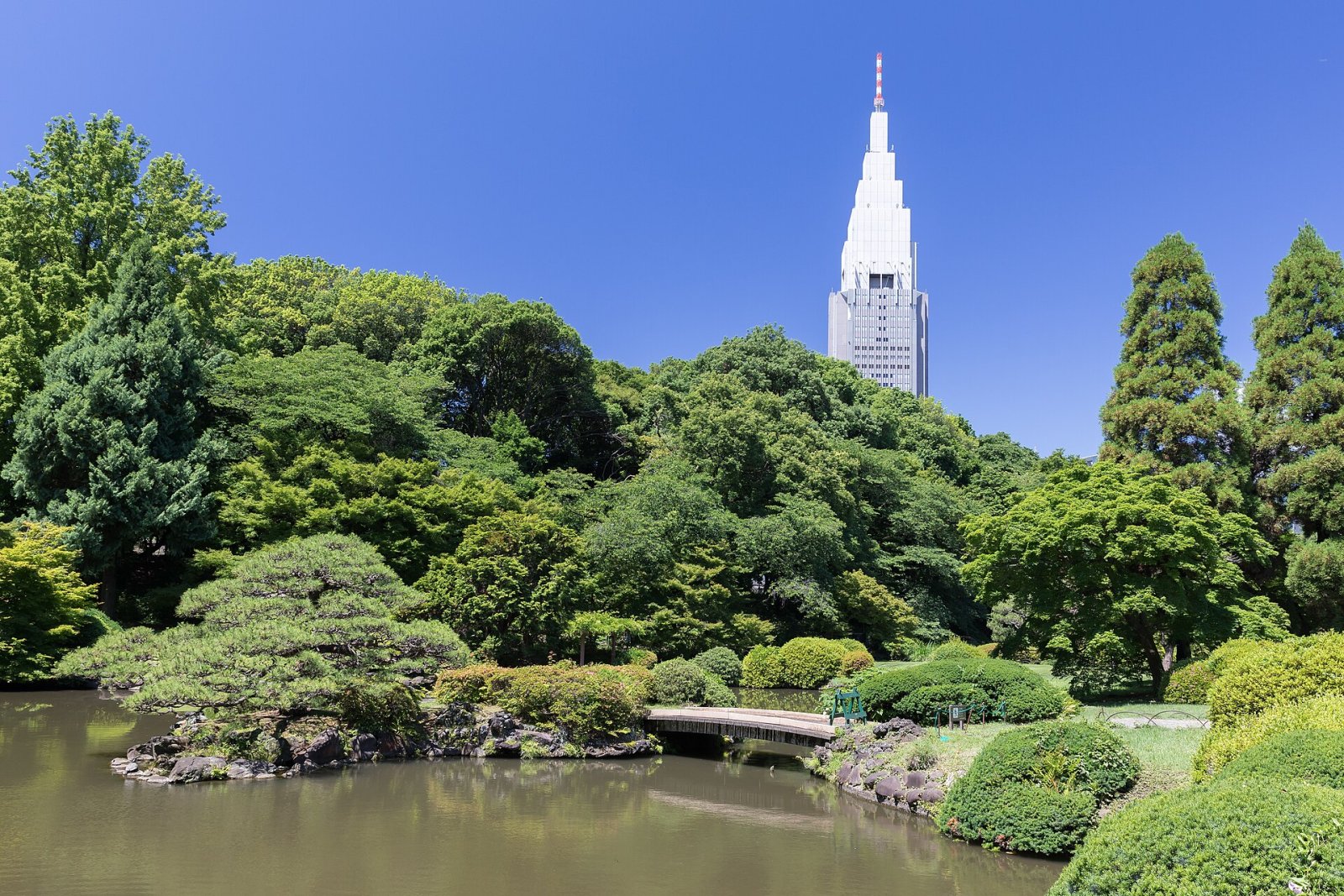 Scopri Shinjuku Gyoen: un angolo di natura a Tokyo - Shinjuku City | Secret World Trip Planner