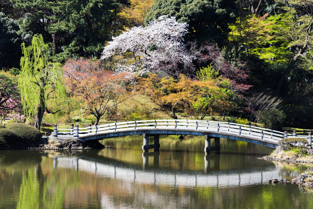 Discover Shinjuku Gyoen: A Nature Oasis in Tokyo - Shinjuku City | Secret World Trip Planner