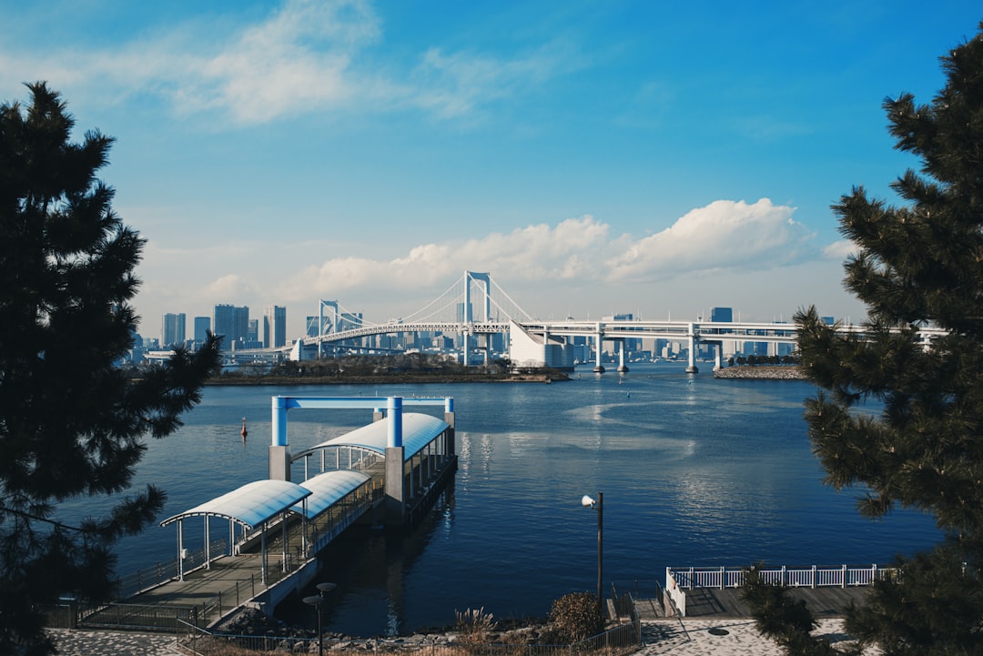 Descubriendo Odaiba: una joya cultural de Tokio - Koto City | Secret World Trip Planner