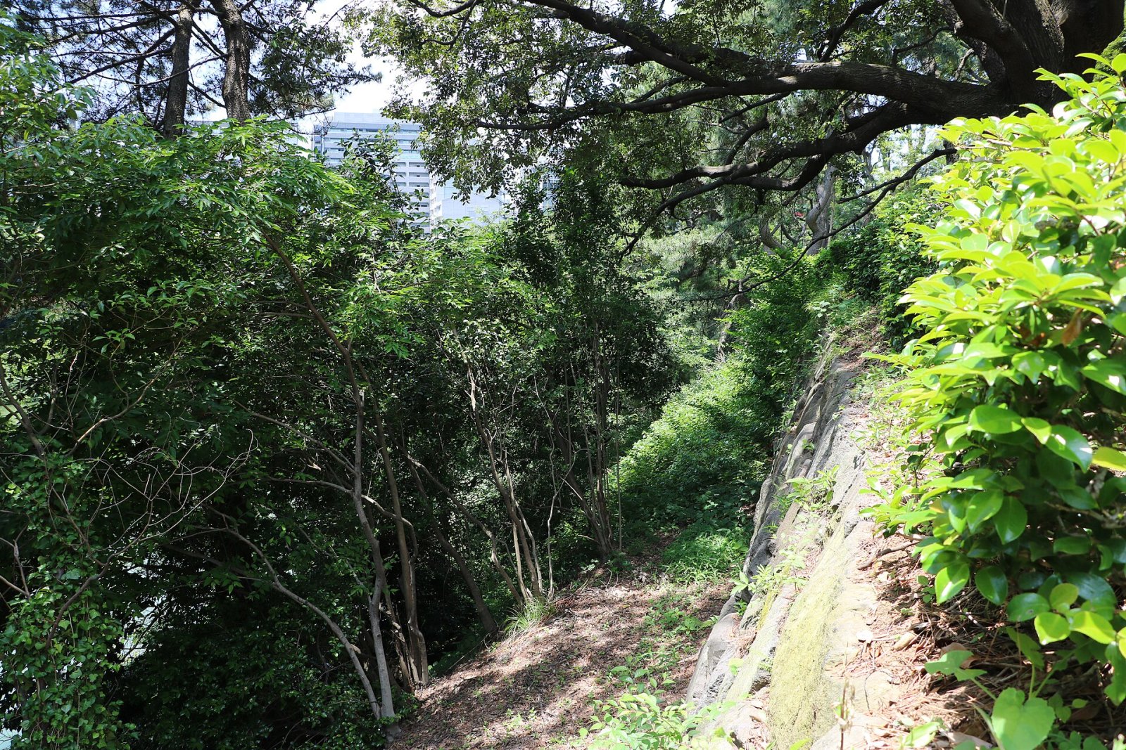 Ruines du Château d'Edo : Un Voyage dans l'Histoire de Tokyo - Chiyoda City | Secret World Trip Planner