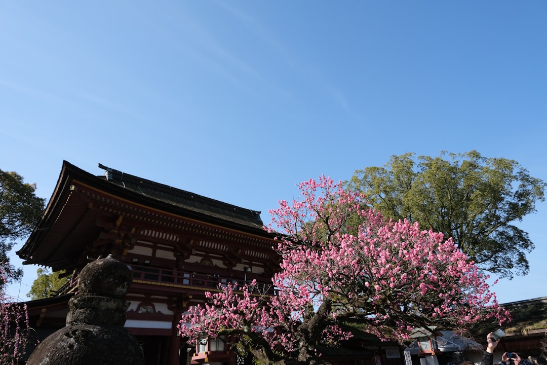 아츠타 신궁 탐방: 나고야의 보물 - Nagoya | Secret World Trip Planner