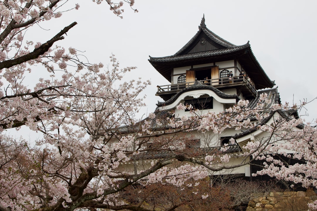 犬山城：日本の歴史の宝 - Inuyama | Secret World Trip Planner