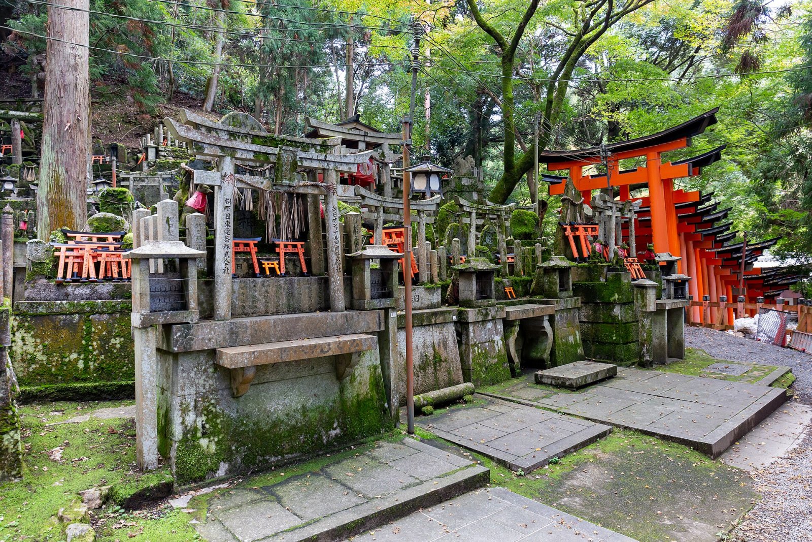Santuário Fushimi Inari: uma viagem ao coração da cultura japonesa - Kyoto | Secret World Trip Planner