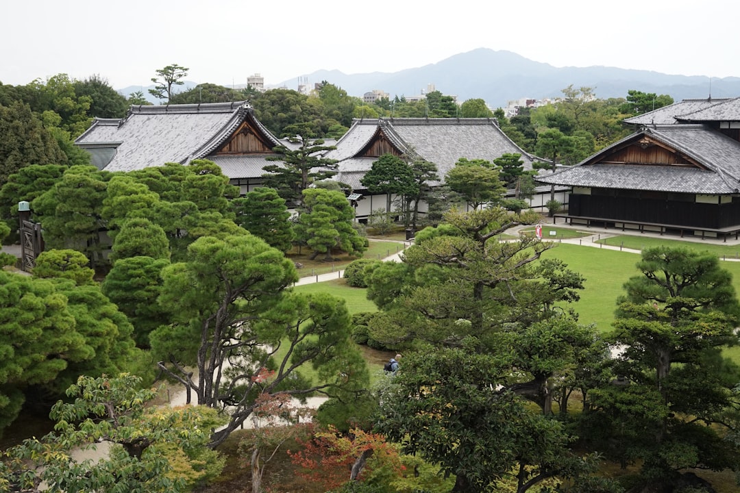 Exploration du Château Nijo de Kyoto : Histoire et Beauté - Kyoto | Secret World Trip Planner