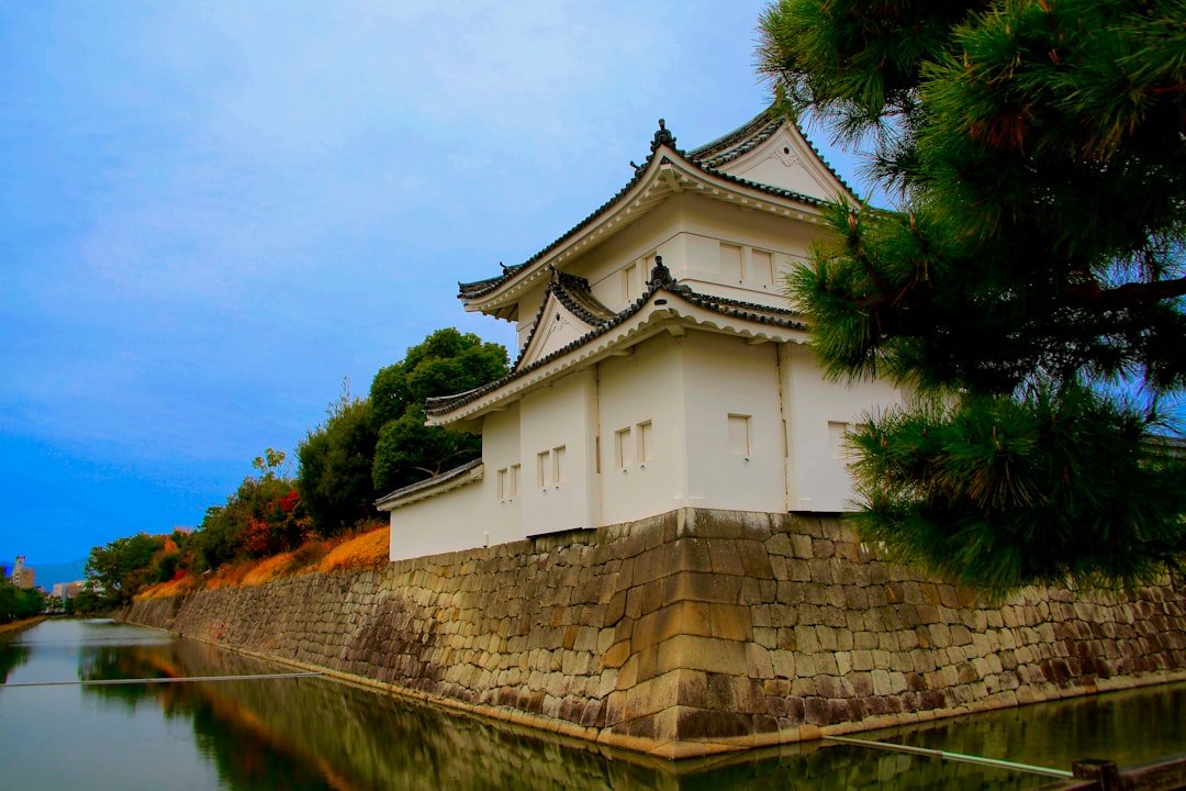 Explorando el Castillo Nijo de Kioto: Historia y Belleza - Kyoto | Secret World Trip Planner
