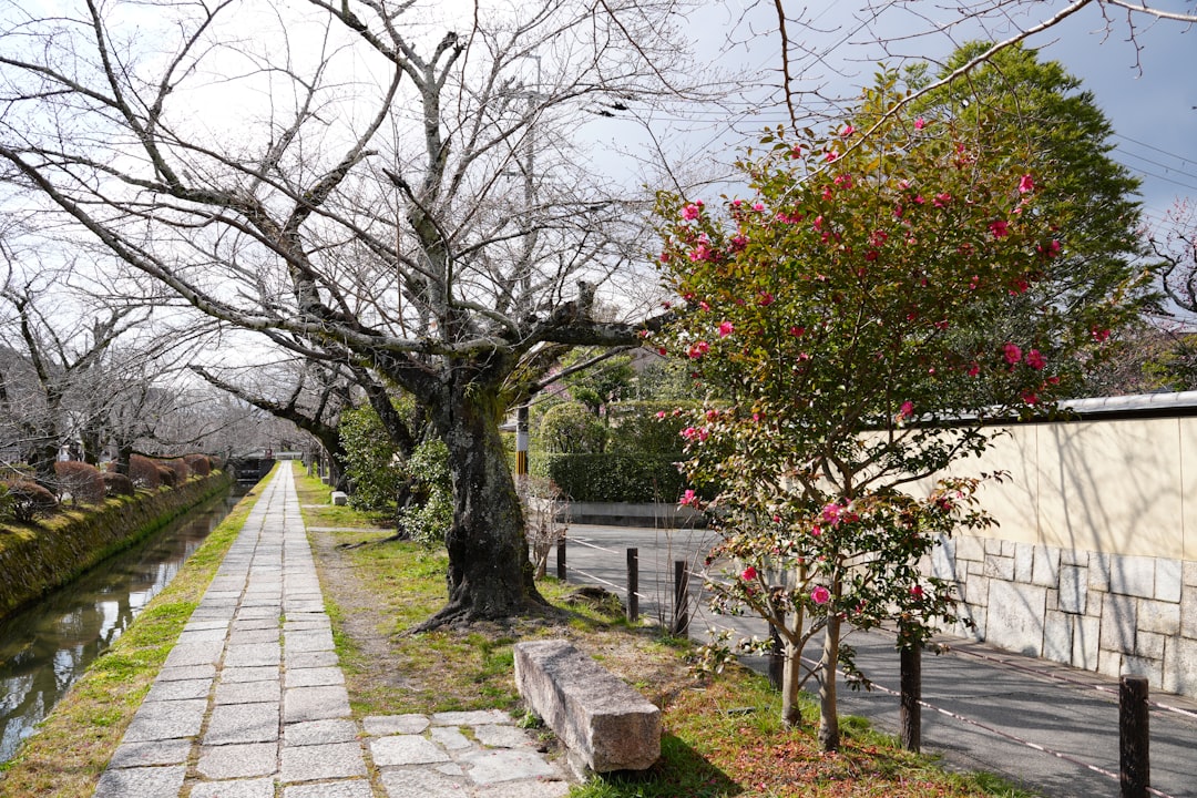 Descubre el Sendero de los Filósofos en Kioto: Un Viaje por la Naturaleza - Kyoto | Secret World Trip Planner