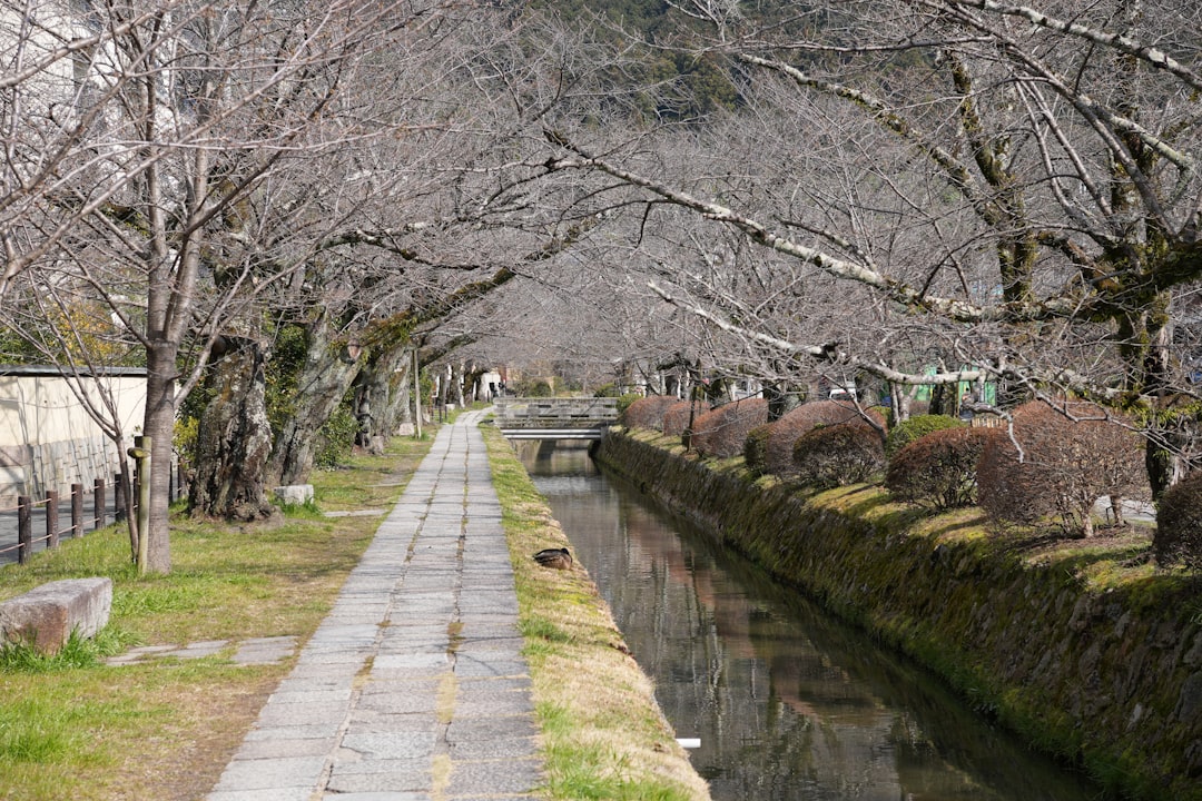 Descubra o Caminho dos Filósofos em Quioto: Uma Viagem pela Natureza - Kyoto | Secret World Trip Planner