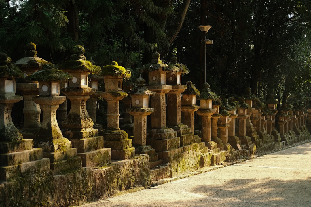 Kasuga Grand Shrine : un trésor culturel à Nara — Nara