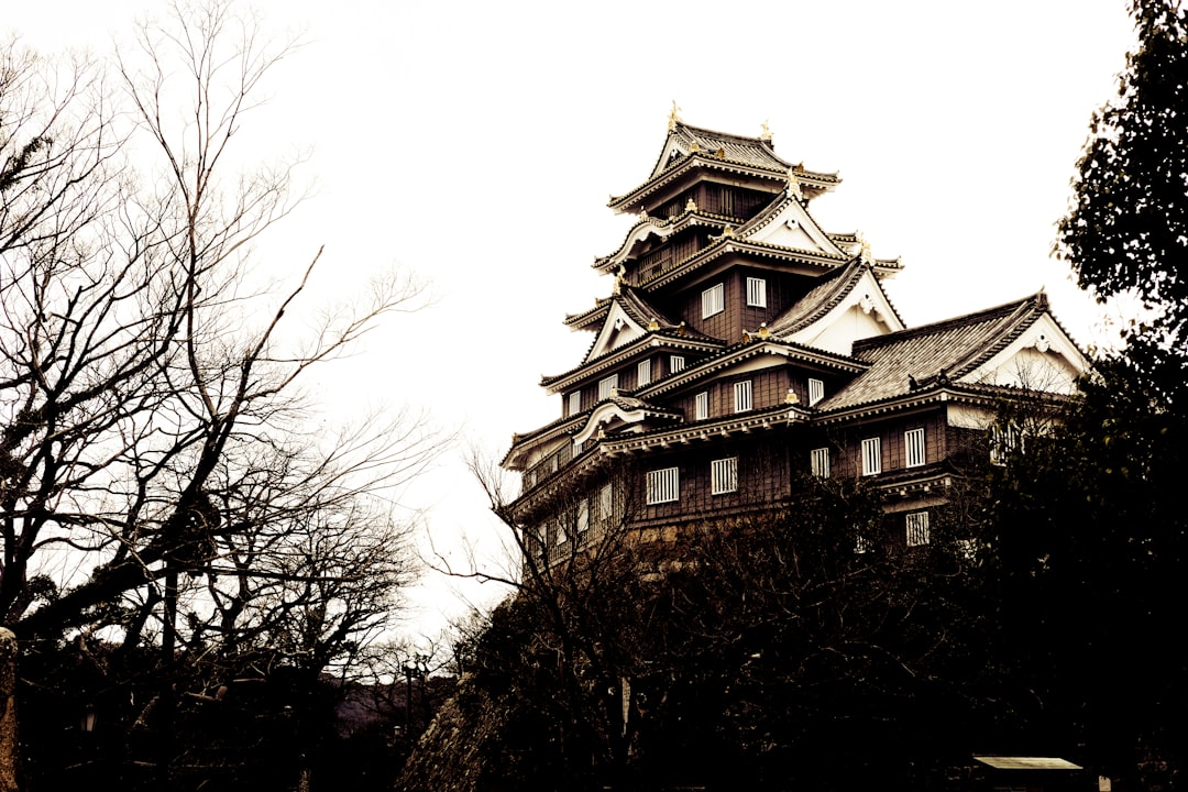 Château d'Okayama : Un bijou de l'histoire japonaise - Okayama | Secret World Trip Planner