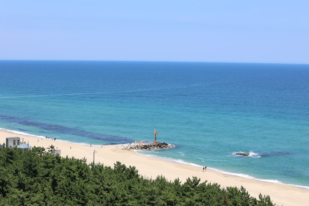 Plage de Jeongdongjin : un coin de paradis en Corée du Sud - Gangneung | Secret World Trip Planner