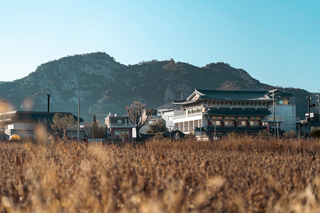 Descubre la Granja de Ovejas Daegwallyeong en Pyeongchang - Pyeongchang-gun | Secret World Trip Planner