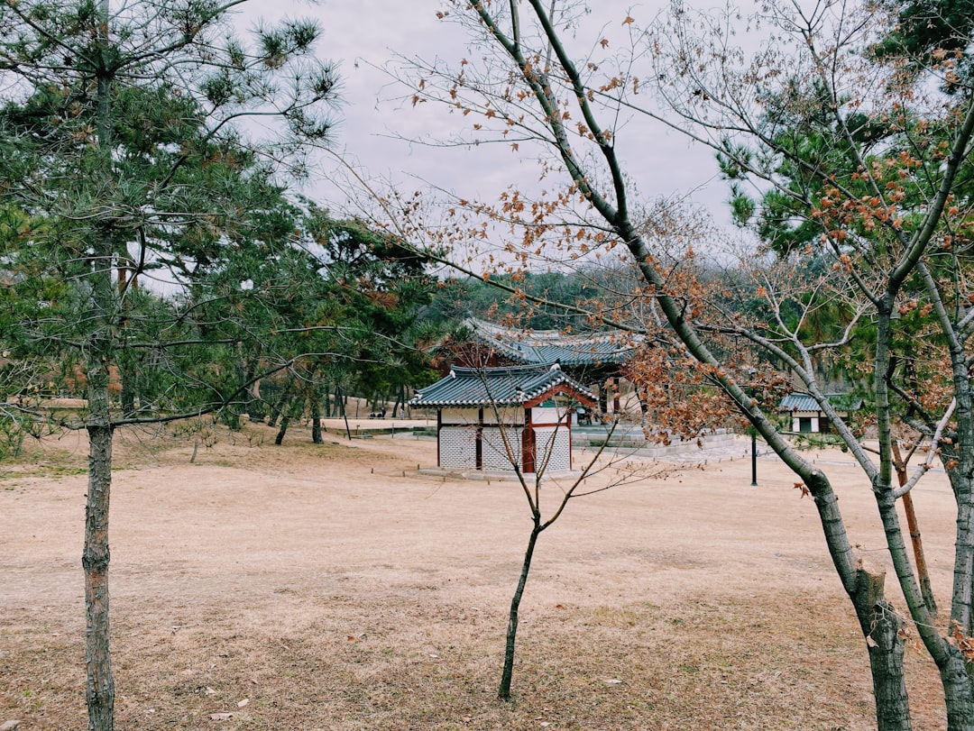 Chungju-See: Ein Naturparadies in Südkorea — Chungju-si