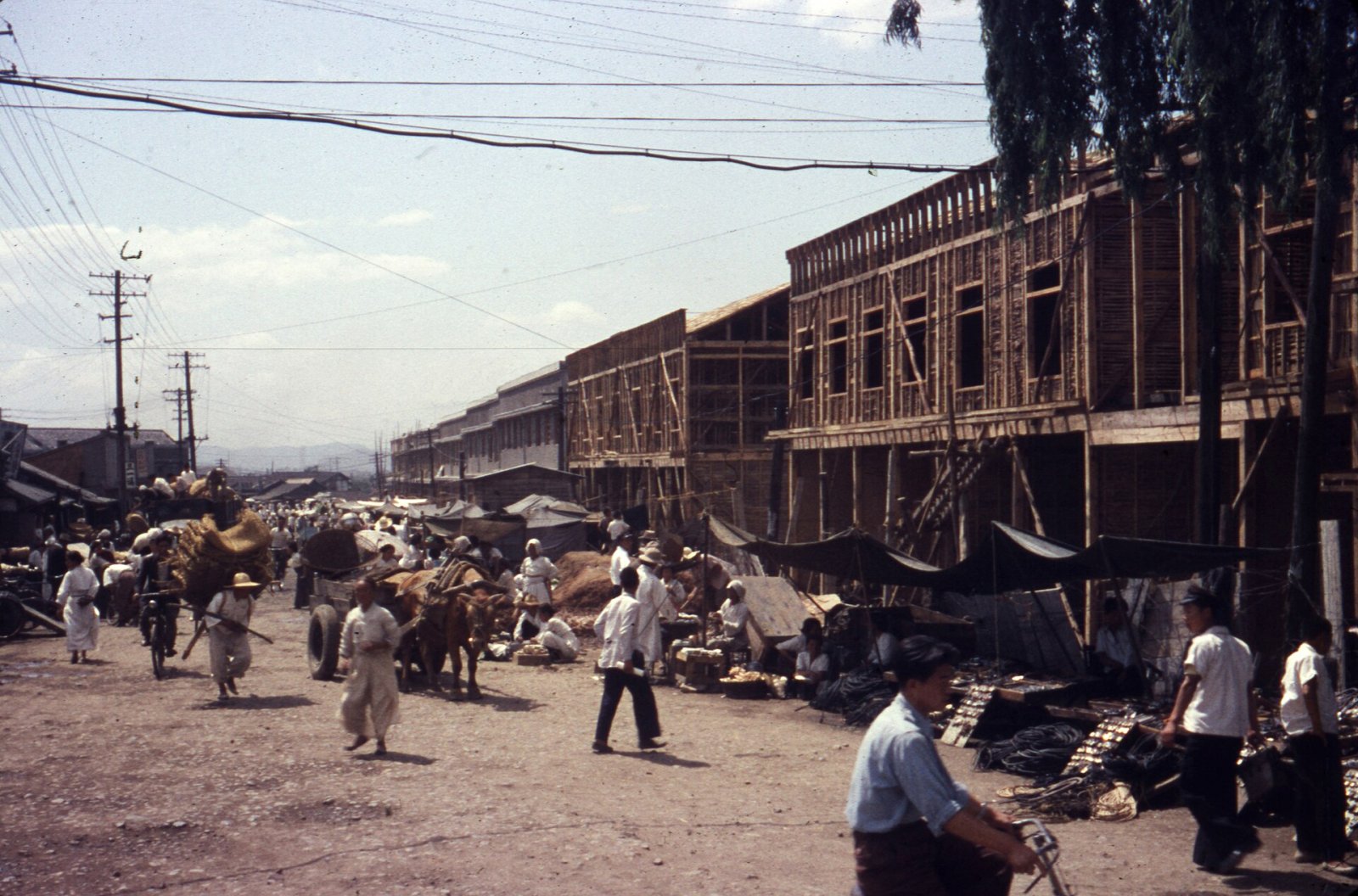 Scopri Daegu Seomun Market: Un Viaggio nei Sapori e Tradizioni Coreane — Jung-gu