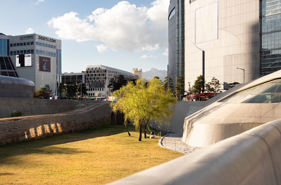 Explorando el Dongdaemun Design Plaza: una joya de Seúl - Jung District | Secret World Trip Planner