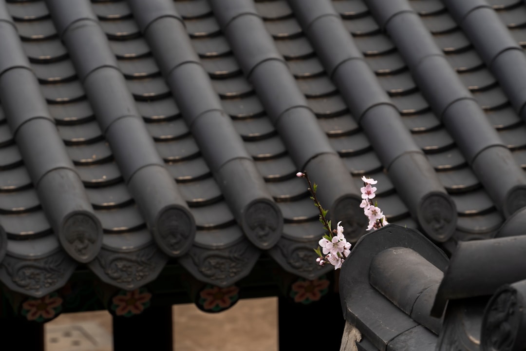 Discover Gyeonghuigung Palace: History and Beauty of Seoul - Jongno District | Secret World Trip Planner