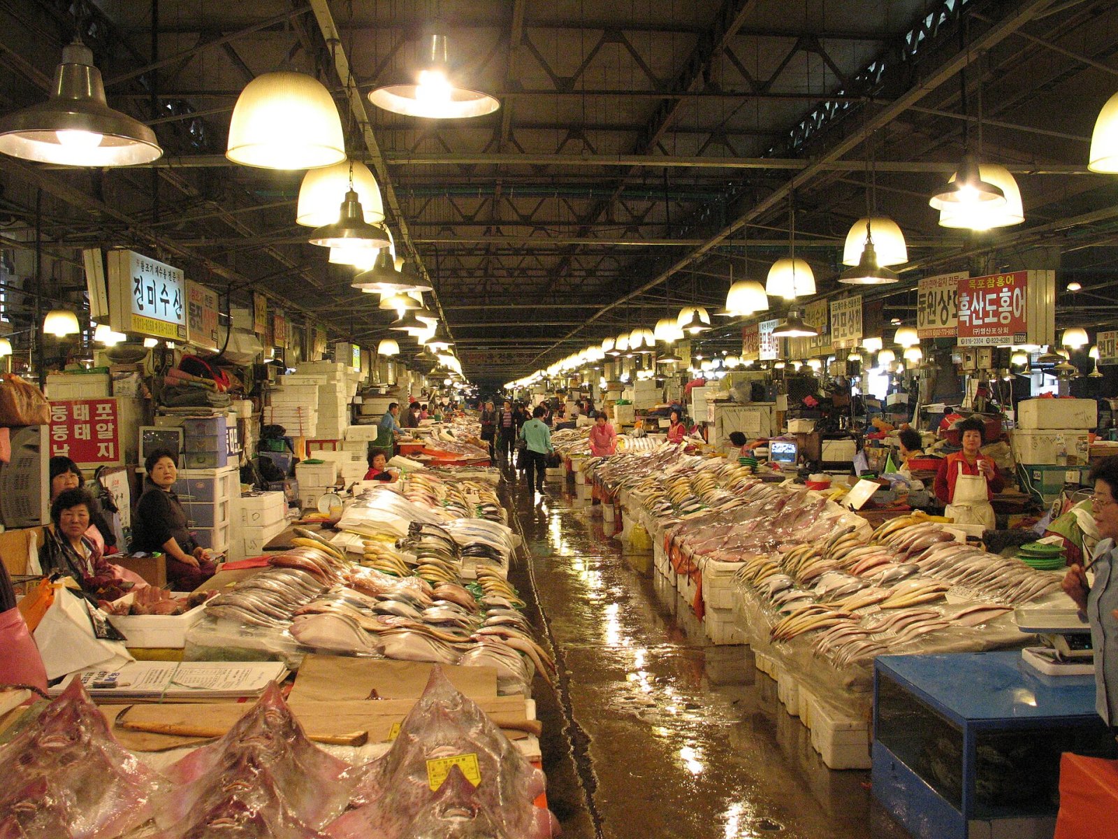 Mercado de Pescado Noryangjin: Un viaje a los sabores de Seúl - Dongjak District | Secret World Trip Planner