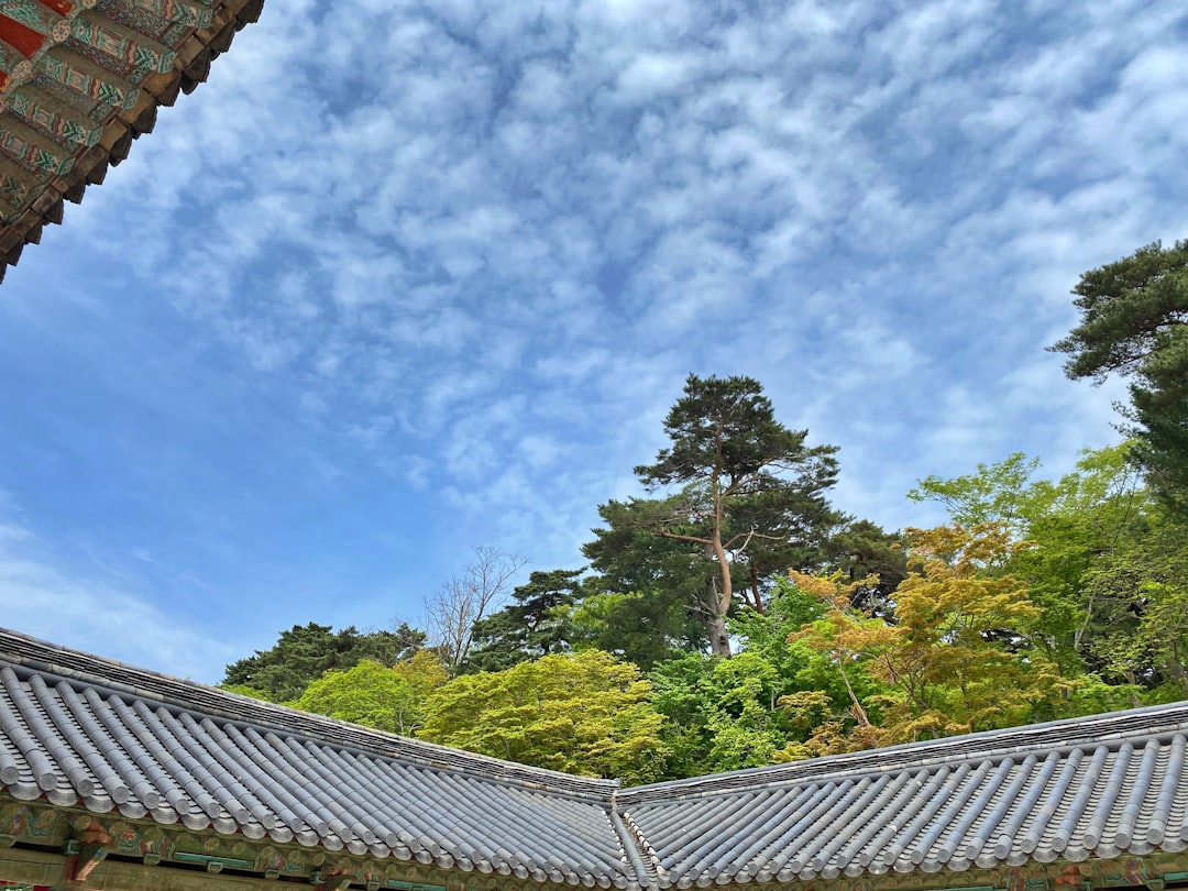 Gyeongju : Un Voyage dans l'Histoire de la Corée - Gyeongju | Secret World Trip Planner