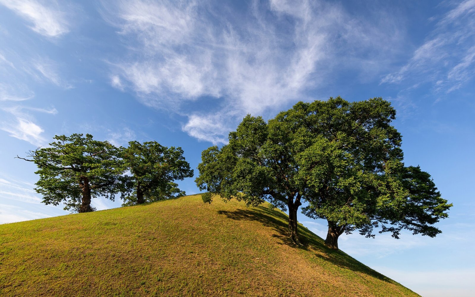 Descubre el Tumuli Park de Gyeongju: un viaje a la historia coreana - Gyeongju | Secret World Trip Planner
