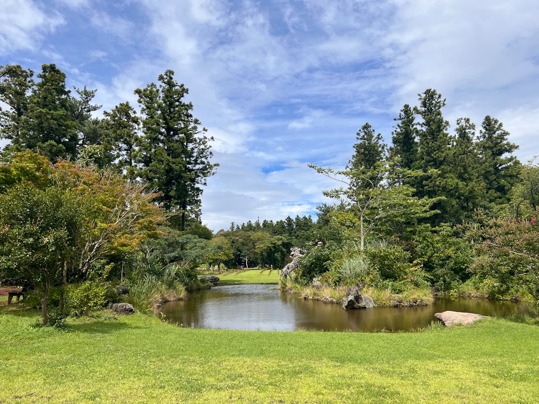 Jeju Island: Ein Naturparadies zum Entdecken - Cheju | Secret World Trip Planner