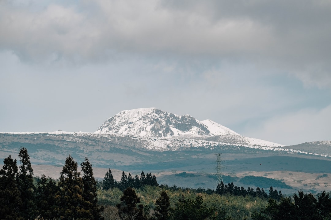 Découvrez Hallasan : La Montagne Iconique de Jeju - Hallasan | Secret World Trip Planner