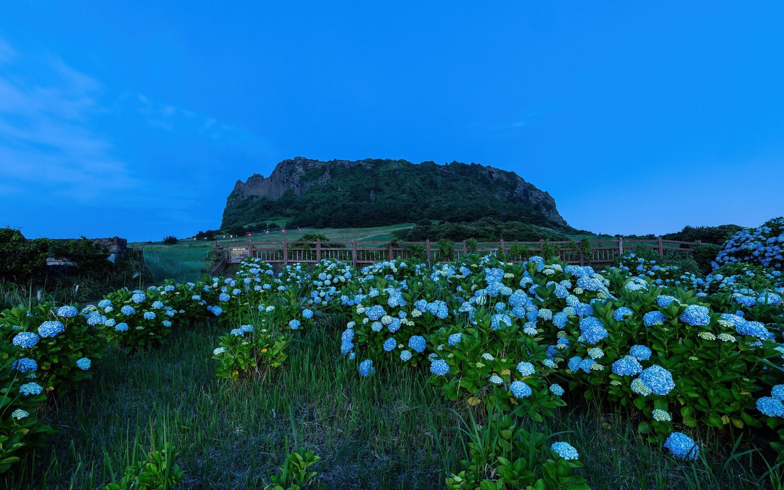 Île de Jeju : Un Paradis Naturel à Découvrir - Cheju | Secret World Trip Planner