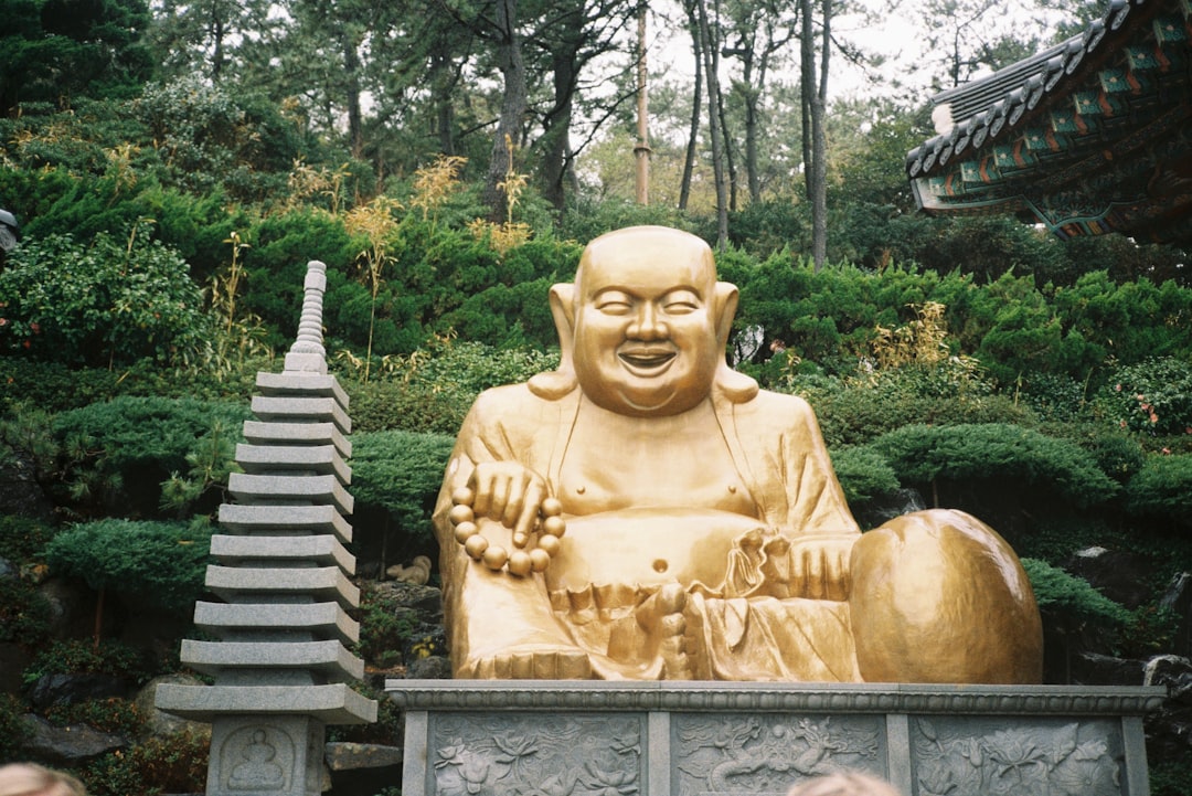 访问釜山联合国纪念墓地 - Nam-gu | Secret World Trip Planner