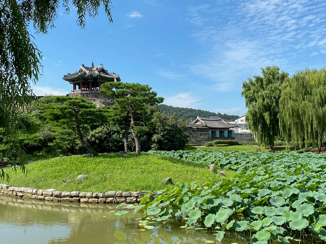 Découvrez la forteresse Hwaseong de Suwon : Un patrimoine mondial - Suwon | Secret World Trip Planner