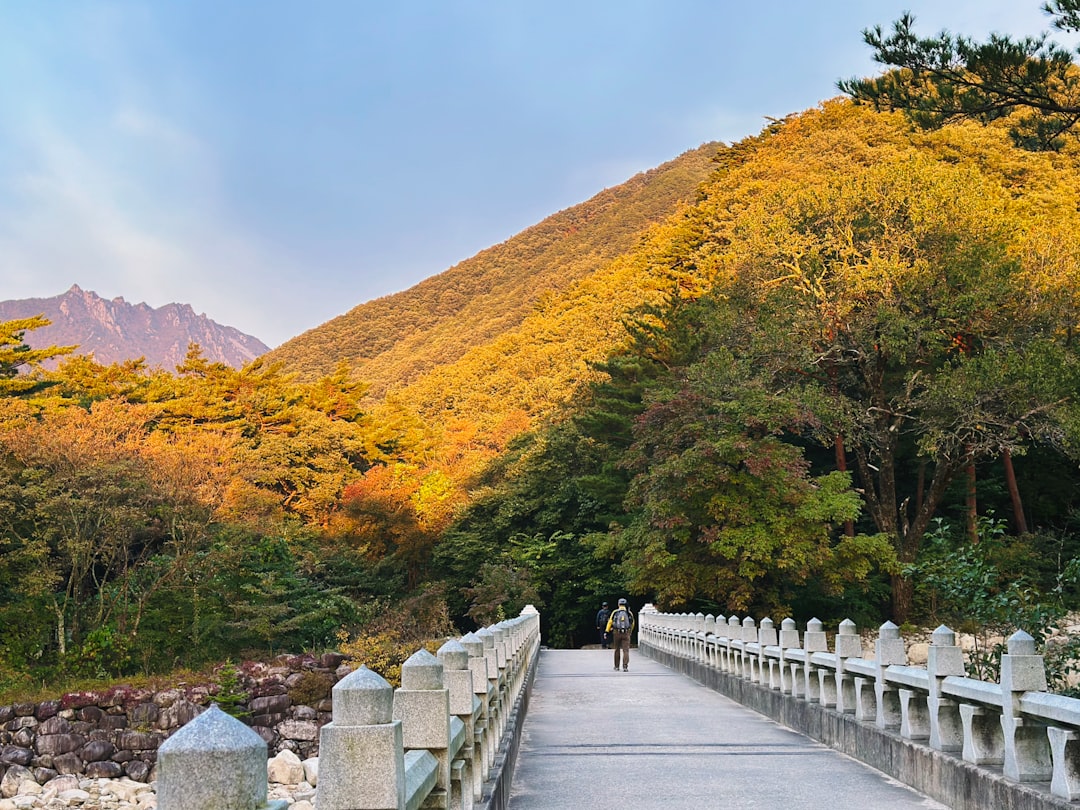 Seoraksan Nationalpark: Ein Naturparadies in Südkorea — 강원 속초시 설악동