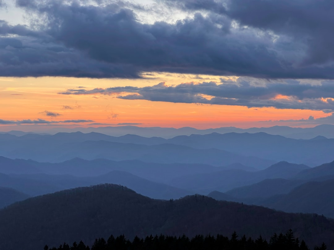Découvrez le Blue Ridge Parkway : un voyage entre nature et culture