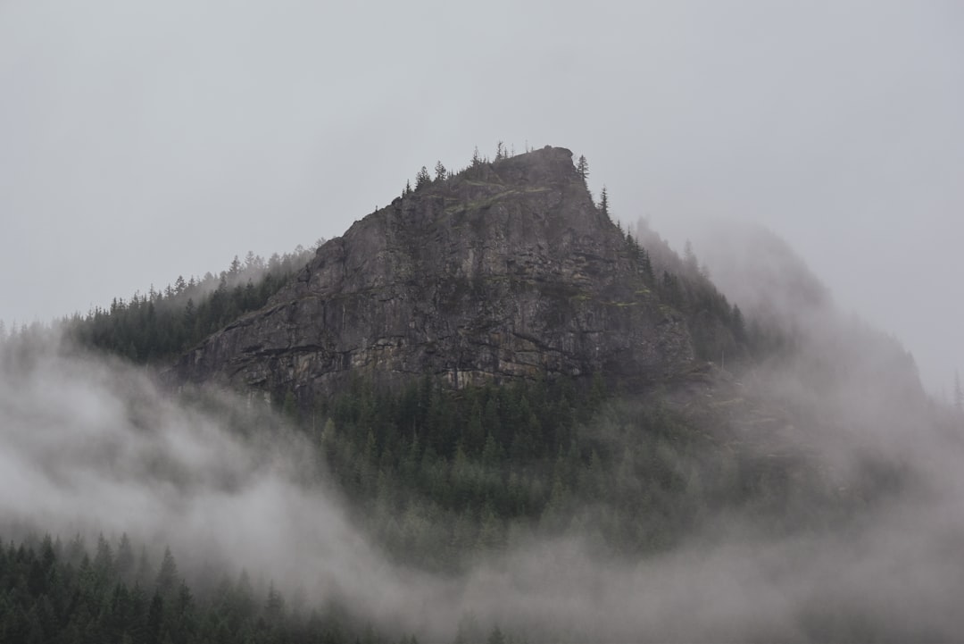 Entdecken Sie die Magie des Great Smoky Mountains Nationalparks | Secret World Trip Planner