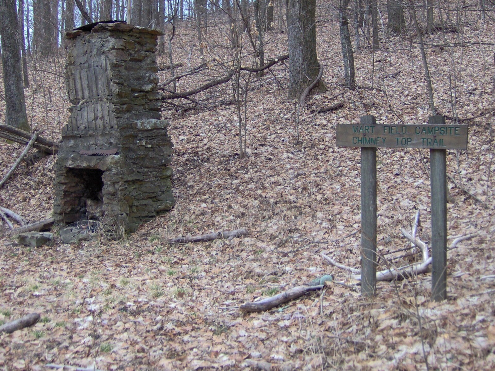 Chimney Tops Trail: Ein Abenteuer in der Natur von Tennessee | Secret World Trip Planner