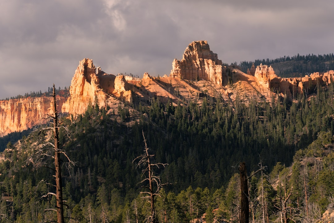 Chimney Tops Trail: Ein Abenteuer in der Natur von Tennessee | Secret World Trip Planner