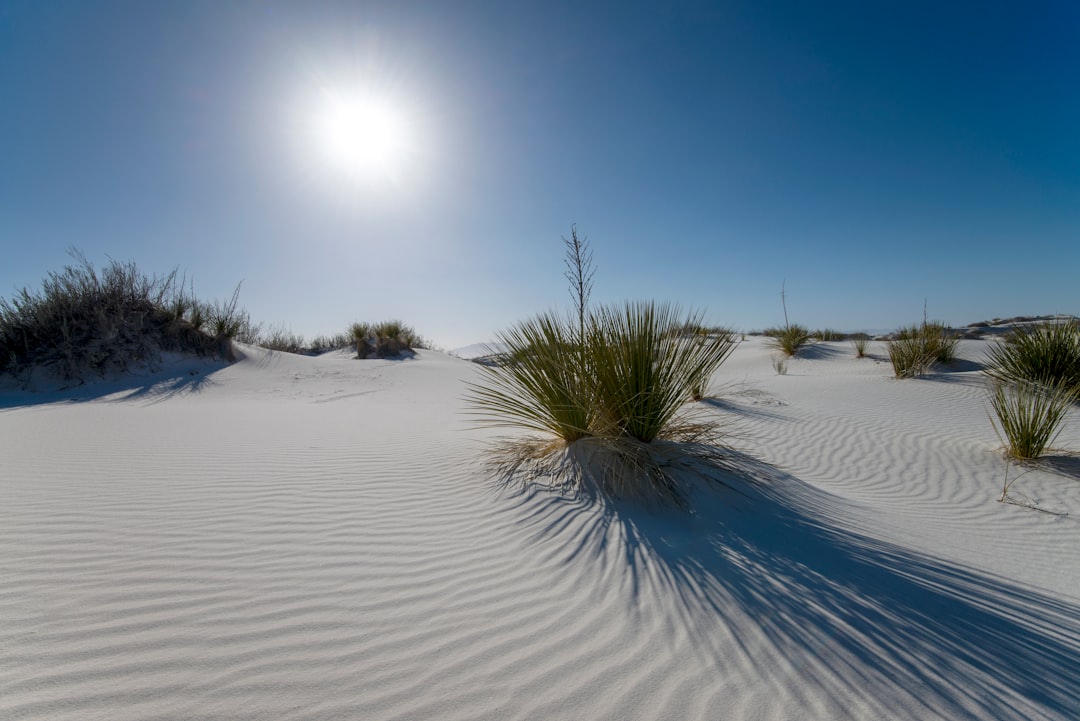 Découvrez la magie du parc national de White Sands au Nouveau-Mexique — Hanzhong